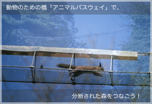 ダウンロード (1)