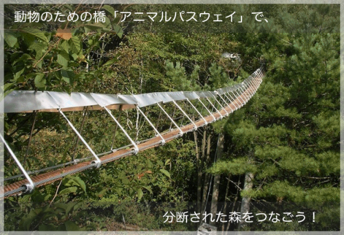 ダウンロード (4)