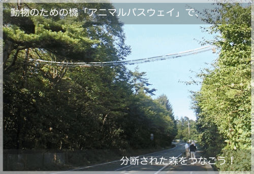 ダウンロード (5)