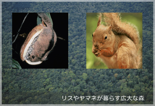 ダウンロード (6)